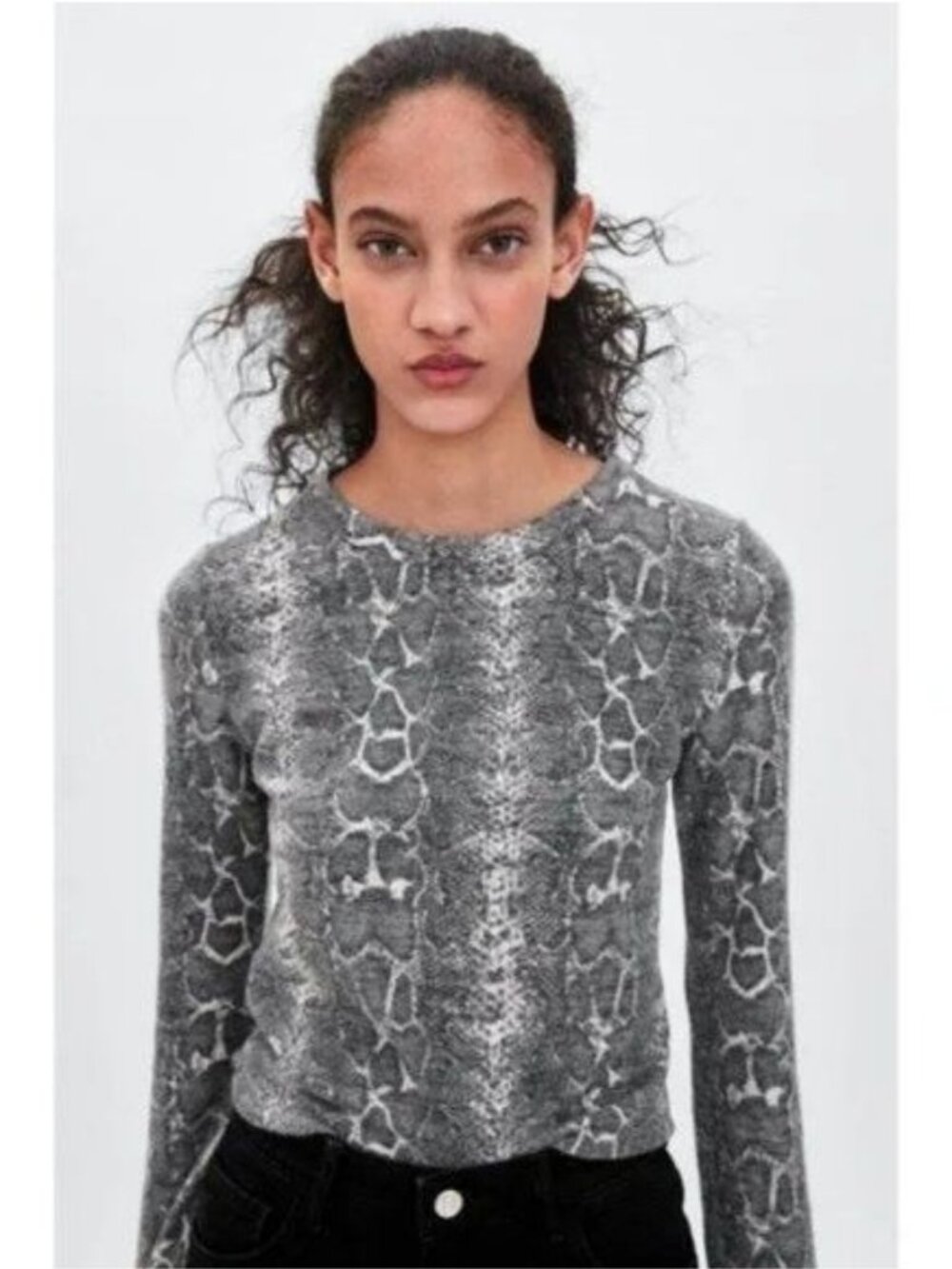 Zara | Snakeskin Printed Long Sleeve Crop Cropped Top Gray